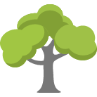 Burnsville Tree Removal